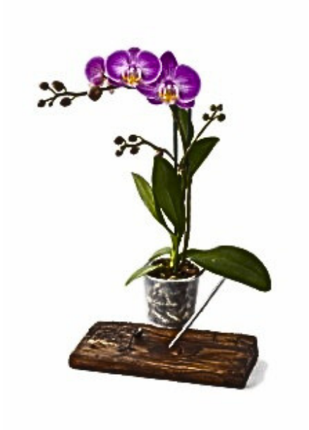 Base artesanal para Orquídea