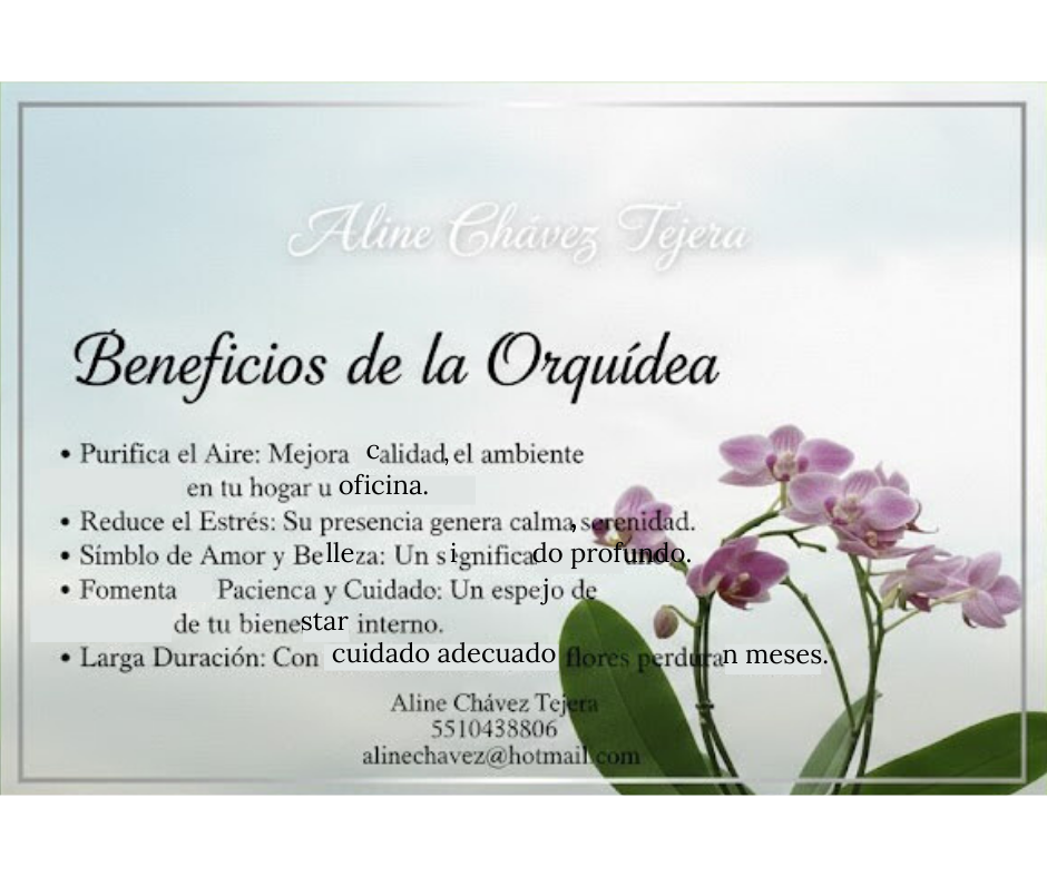 Beneficios de las Orquídeas
