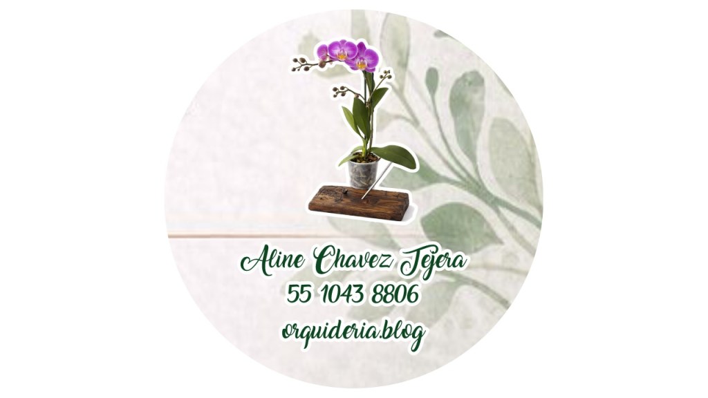 Contacta